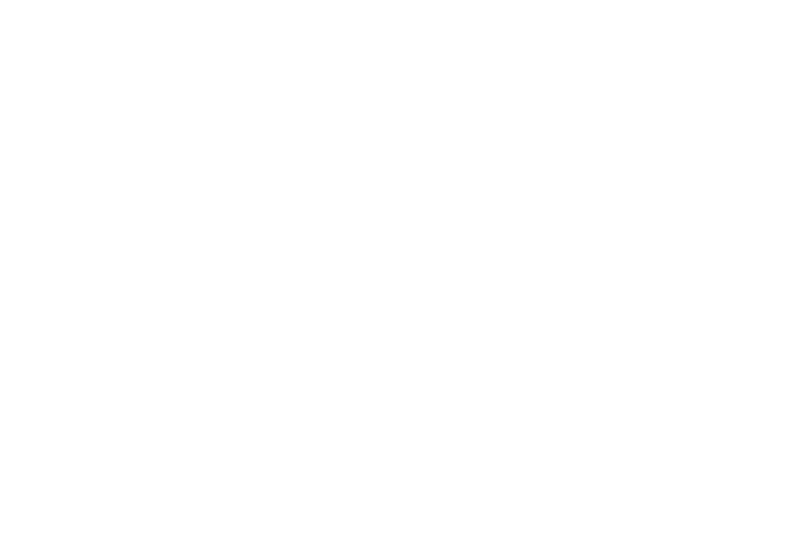 Safekinga